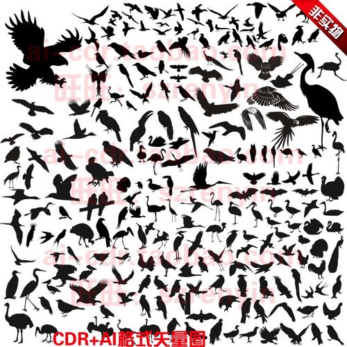 c167鹰鹤鸟类飞禽黑白单色剪影雕刻图cdr ai矢量图格式设计素材