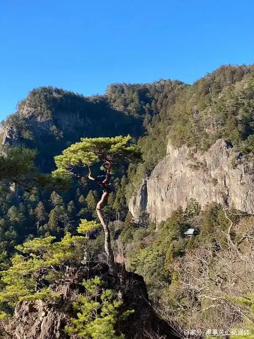 「故乡情」大山的情怀