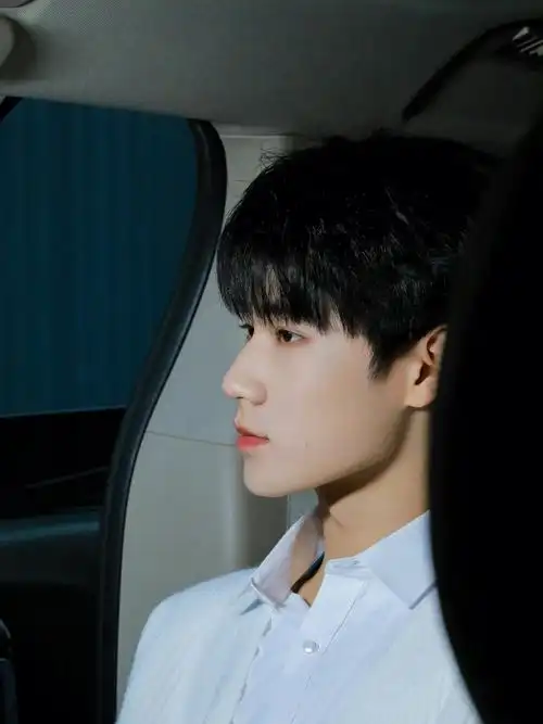 张真源车内氛围照