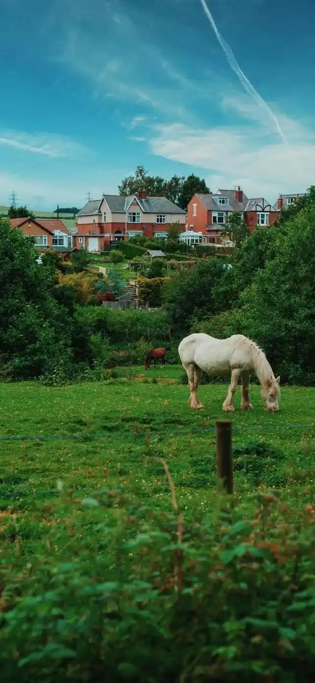 乡村田园风光全面屏手机壁纸