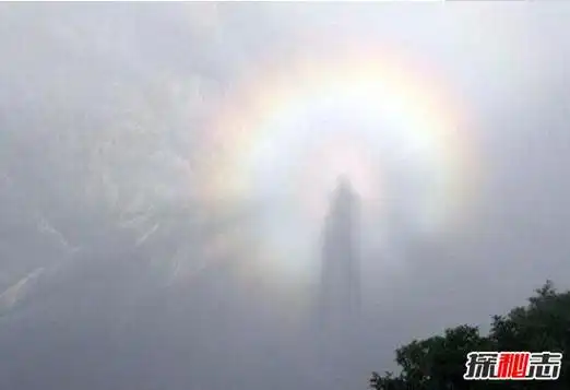 神仙下凡真实事件小孩从12楼摔下被佛像接住谣言揭秘