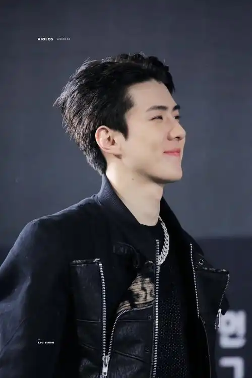 wuli吴世勋宝贝0412生日快乐呀!遇见exo是人生中最美好的事情了.