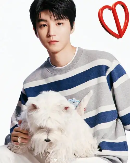 款臻作述说甜蜜爱意,由#迪奥品牌大使王俊凯#@tfboys-王俊凯精彩演绎