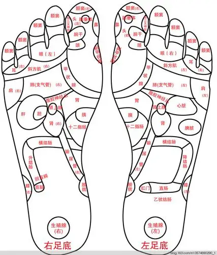 肾生血,肝藏血,脾统血,所以,养护好您的双脚至关重要.
