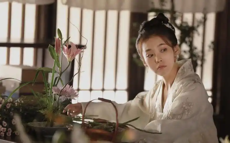 张佳宁知否知否应是绿肥红瘦傻白甜如兰