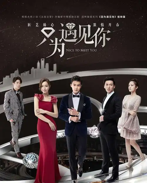 只为遇见你(2019)电视剧 - 全53集剧情介绍 - 南瓜剧情网