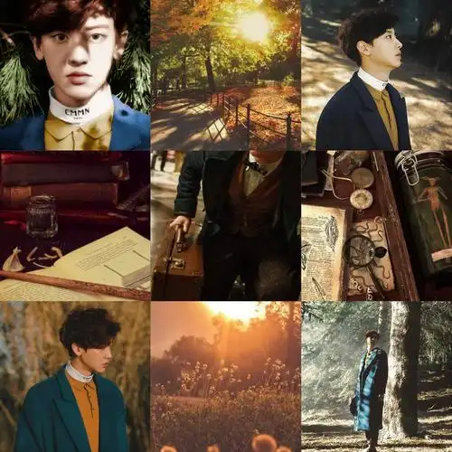 exo九宫格森林里的少年