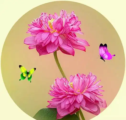 微信头像:花鸟,树林,大山河流,漂亮建筑,各种各样养眼的美景|树林