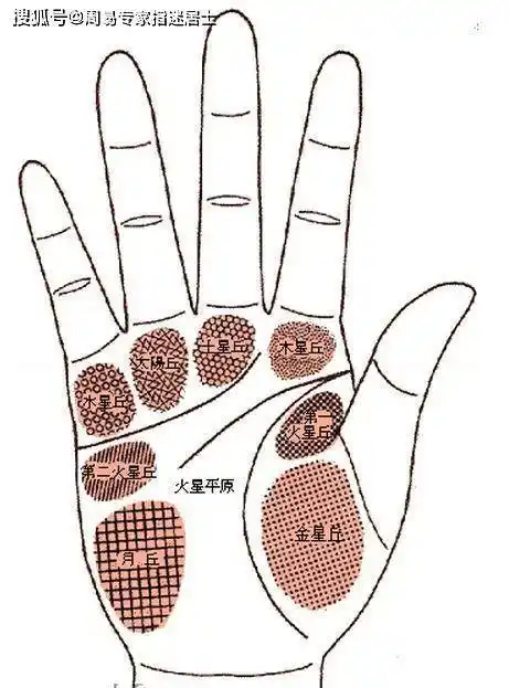 有钱人的手相
