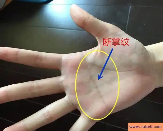 对于只有智慧生命线和生命线而没有感情线的人,新手相学者为他评价道