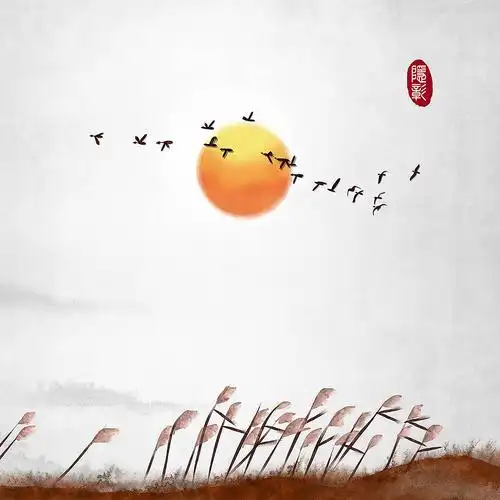 芦苇荡飞鸟落日意境禅意24节气水墨画中国风古风插画