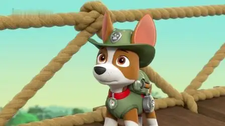 汪汪队小克寻找包裹,一路上真坎坷,总是来晚那么一步