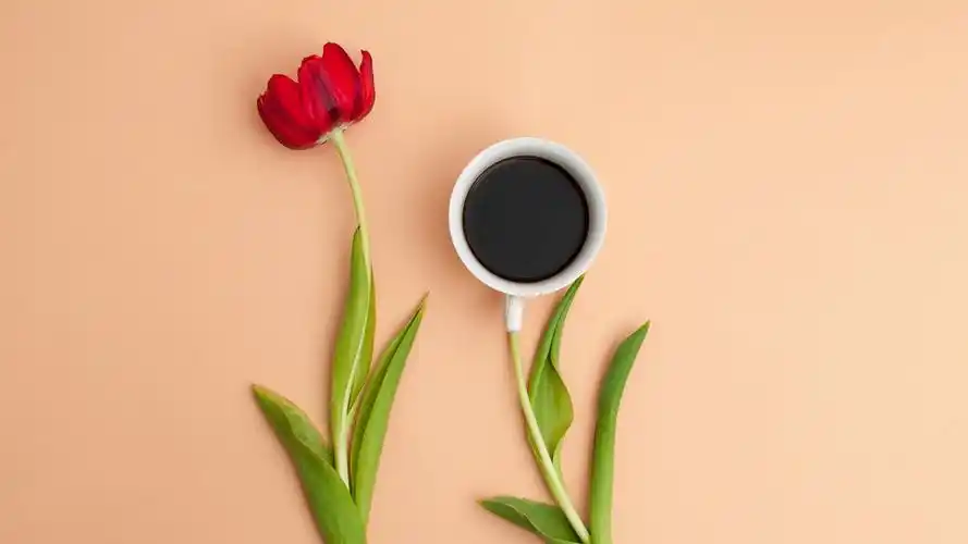 简约风创意高清宽屏桌面壁纸