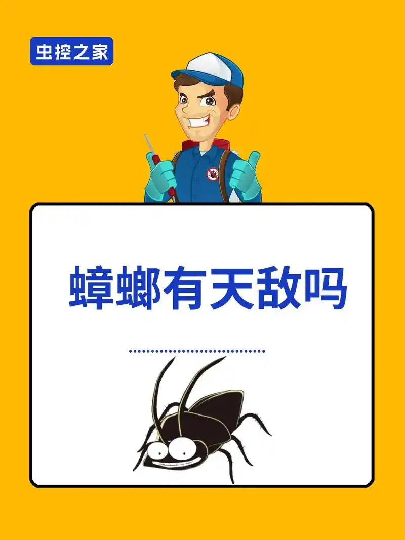蟑螂有天敌吗?蜘蛛,蝎子,蚂蚁,寄生蝇,寄生性胡蜂,蟾蜍, - 抖音