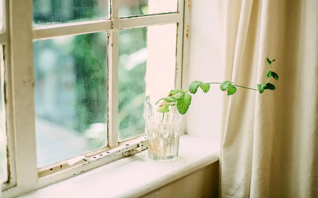 室内静物唯美文艺范图片桌面壁纸,简约文艺小清新十足的室内风景高清