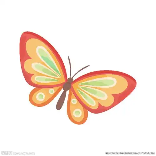 蝴蝶矢量图图片