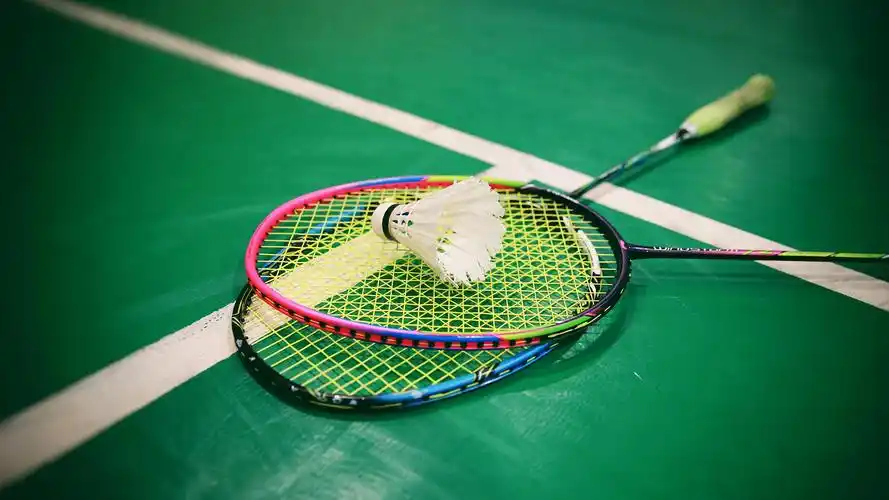 男子打羽毛球踩到流浪猫肚子上摔倒致十级伤残,投喂者被判赔24万元