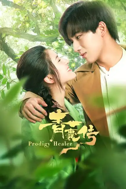 《青囊传》全集免费在线观看-电视剧-策驰影院