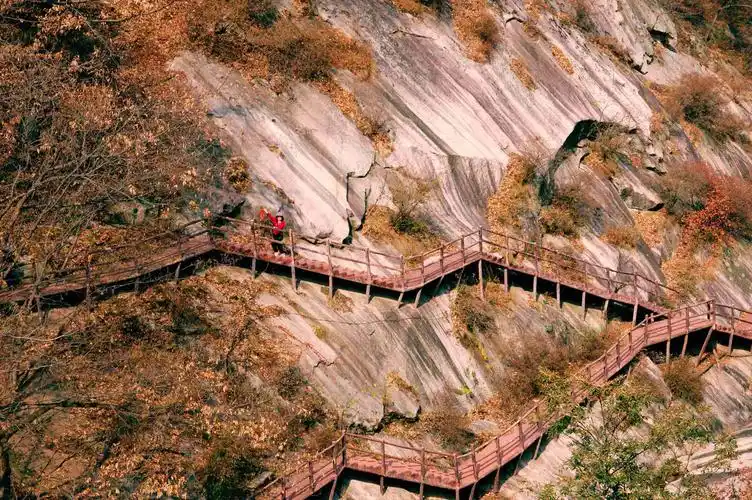 浮光掠影宝天曼