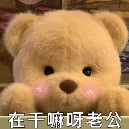 在干嘛呀老公 - 毛绒玩具玩偶表情包