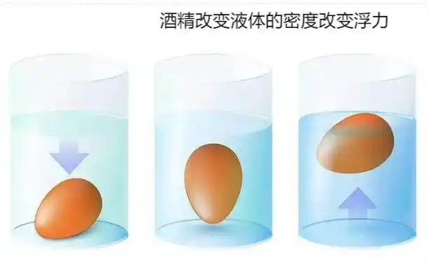 头晕几个月,竟是之前喝酒惹的祸|前庭|症状|淋巴液|眼震_网易订阅