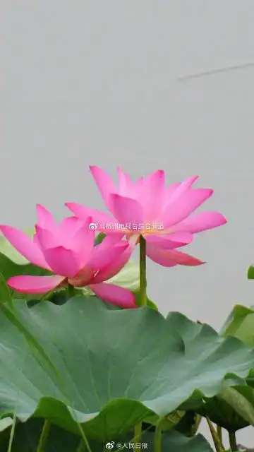 杭州电视台综合频道