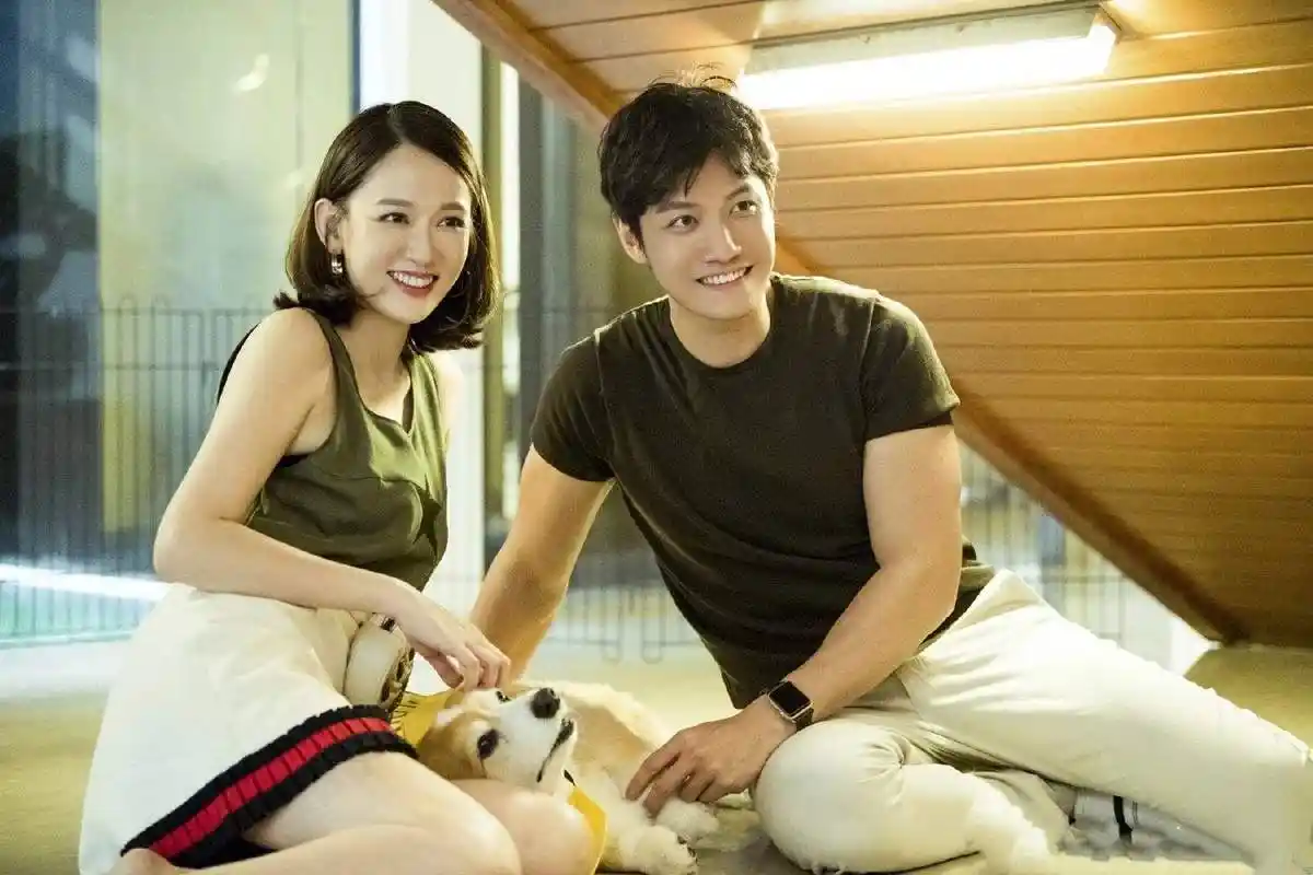 陈乔恩和艾伦参加恋爱节目相爱是不是日久更容易生情