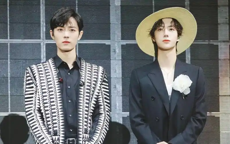 总有一天……#肖战王一博#博君一肖#倾夏轩#抖音爸爸别限流#星空剪影