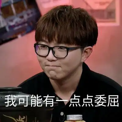 可爱的毛不易表情包呀