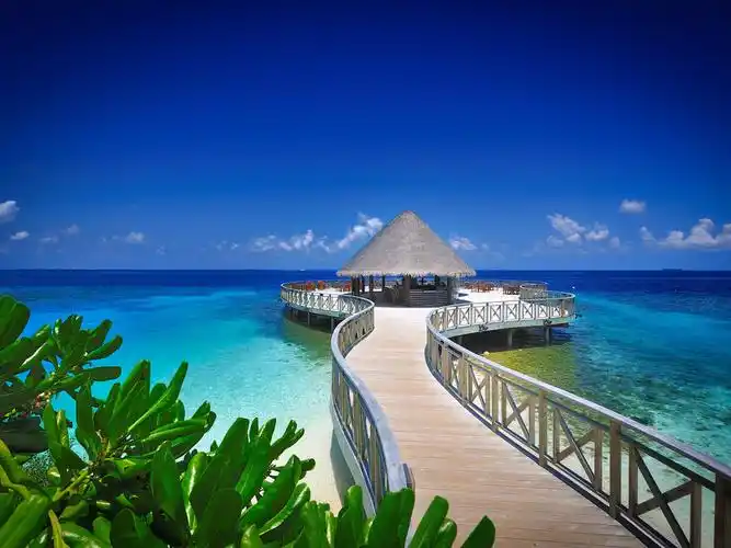 浮潜圣地马尔代夫班度士岛7天自由行浪漫小岛浮潜a级免费wifi快艇上岛