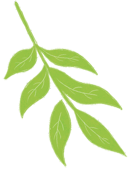 红领巾多彩实践向海图强逐梦深蓝