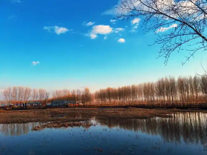 每天有个好心情 不错过身边风景 村口小河边散步♀ 河里有芦苇