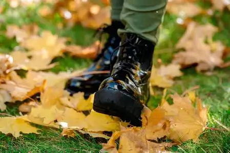 站在落叶上图片
