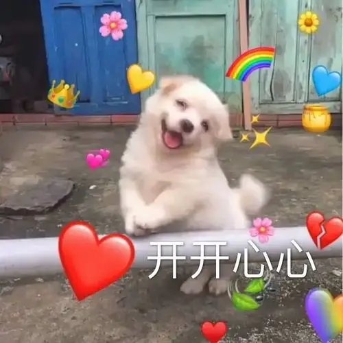 求超级快乐的表情包