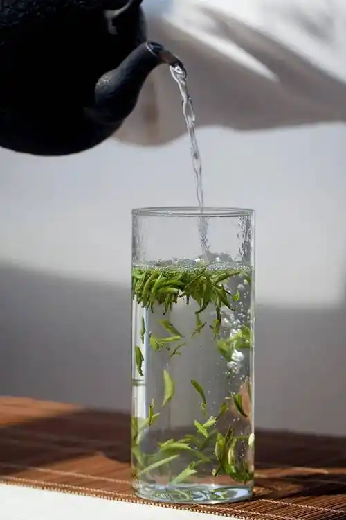 进阶泡茶高手教你如何泡出一杯好茶