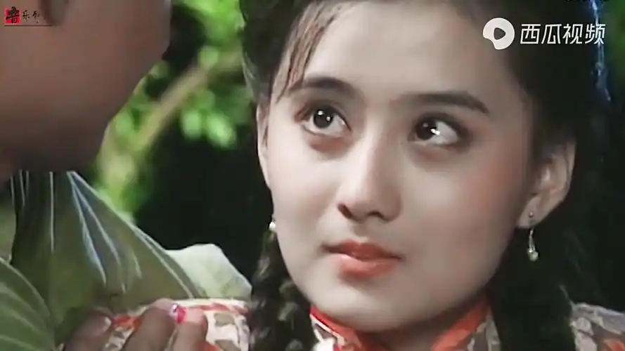 伴我成长的那些剧梅花三弄