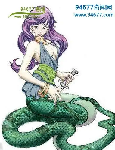 惊艳的美人蛇图片集锦:人头蛇身的美女蛇(多图)