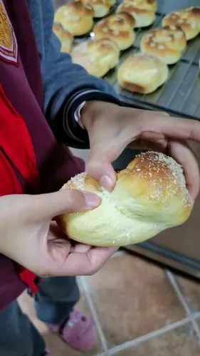 子淇的妈咪做的全世界最好吃没有之一的汤种布里欧修老面包