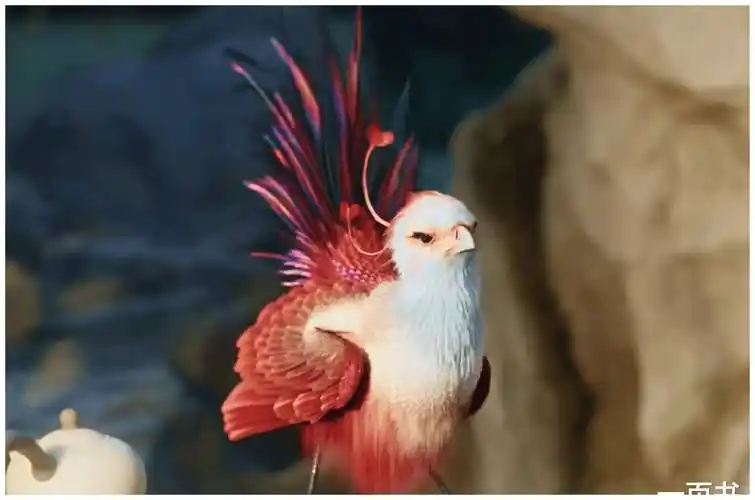 与凤行首播口碑炸裂沈璃开局就被看光身子行止神君好会撩