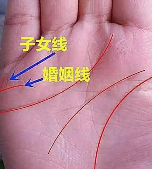 算命我一生有几个孩子,算命最准的免费网站一生有多少子女