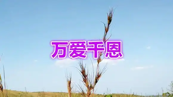 小伙翻唱《万爱千恩》,撕心裂肺的歌声,刺痛儿女的心-音乐视频-搜狐