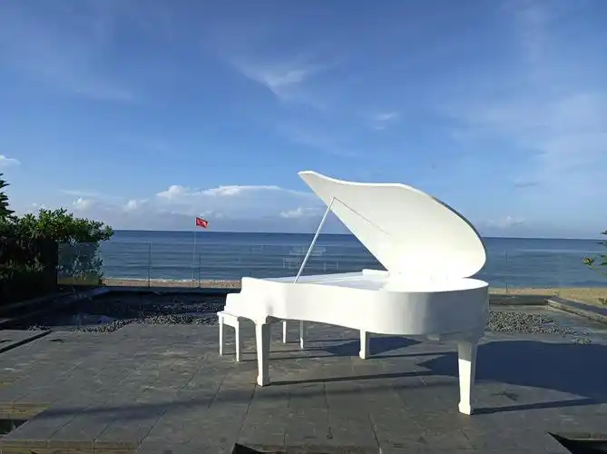 去海边拍钢琴