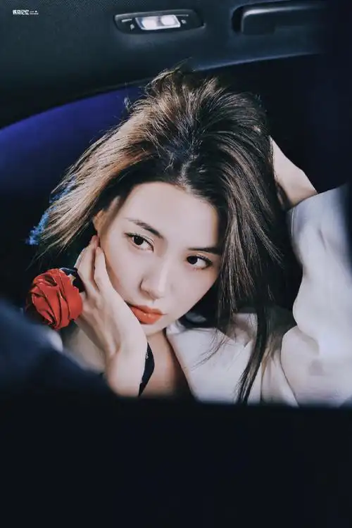 戴萌 热爱可抵万物