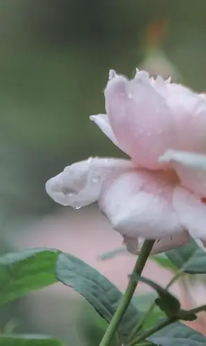 1024_1717竖版 竖屏