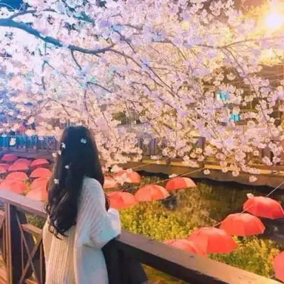 高清好看唯美女生背影头像图片_www.qqtu8.com