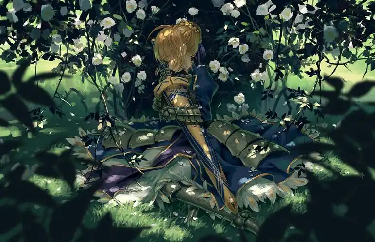 吾王.saber - 堆糖,美图壁纸兴趣社区