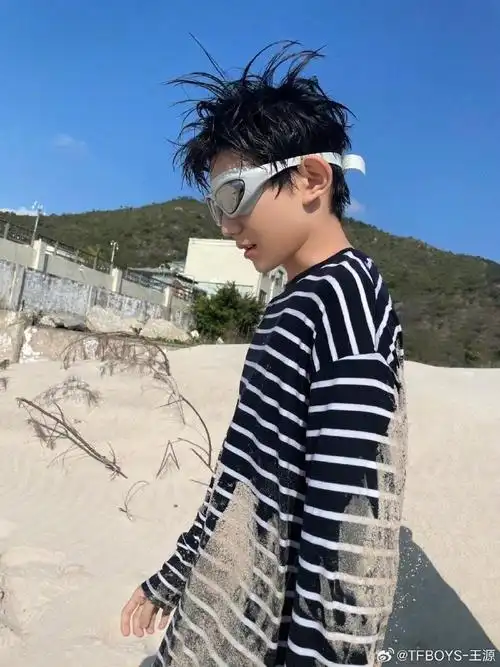 文章介绍了王源"a singer in a popular chineseband, and a tv and