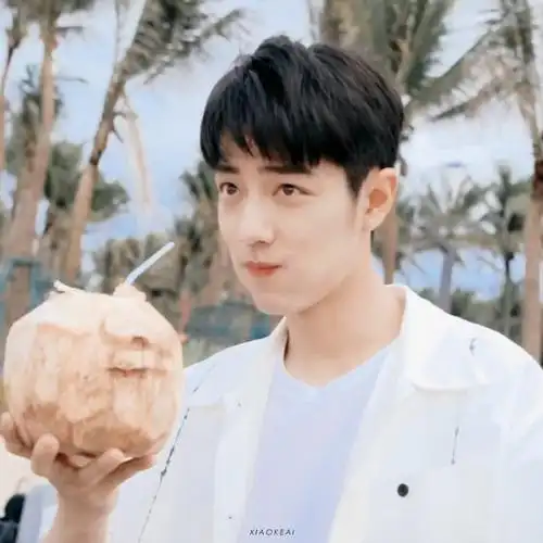 内娱明星头像大户##肖战