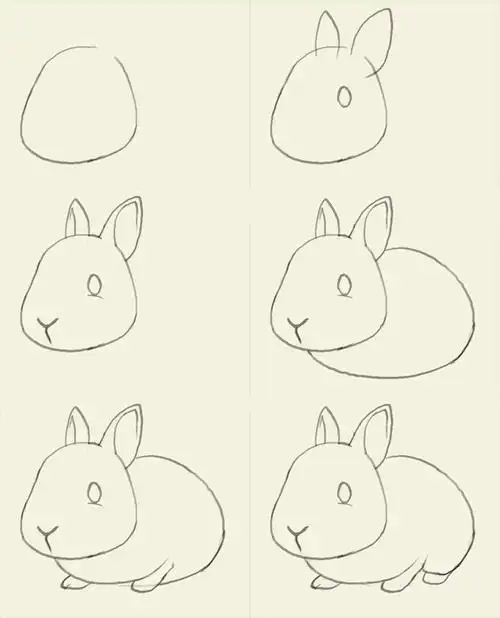 素描【兔子轮廓】分解图,来源:http://idrawgirls.