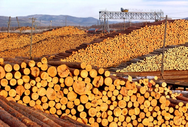 旅游:当年风光无限的莫尔道嘎贮木场,木材一眼望不到头!